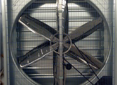 點(diǎn)擊查看詳細(xì)信息<br>標(biāo)題：Heavy Hammer Type Animal Husbandry Fan 閱讀次數(shù)：1613