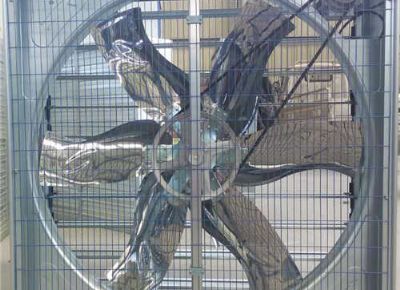 點(diǎn)擊查看詳細(xì)信息<br>標(biāo)題：Push Pull Type Animal Husbandry Fan 閱讀次數(shù)：2314