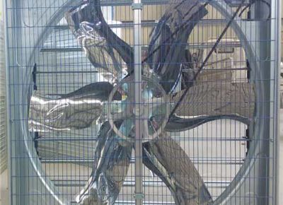 點(diǎn)擊查看詳細(xì)信息<br>標(biāo)題：Push Pull Negative Pressure Fan 閱讀次數(shù)：1412